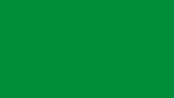 Ritrama Platinum PLA848 bright green polymer støbt grøn dekorationsfolie carl jensen